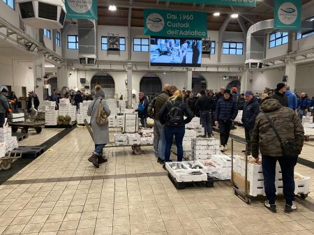 Študijska tura TZ Izola 